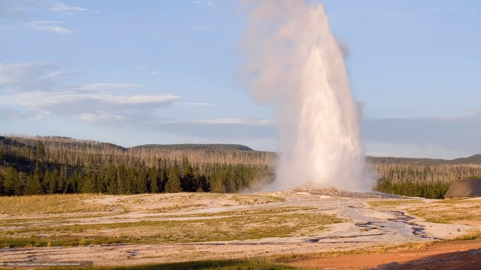 Old Faithful geyser erupting