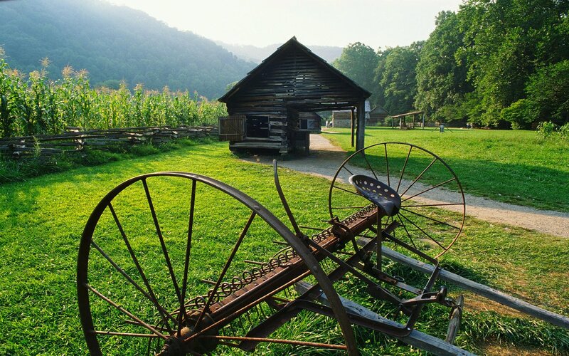 Old farm equipment in a field