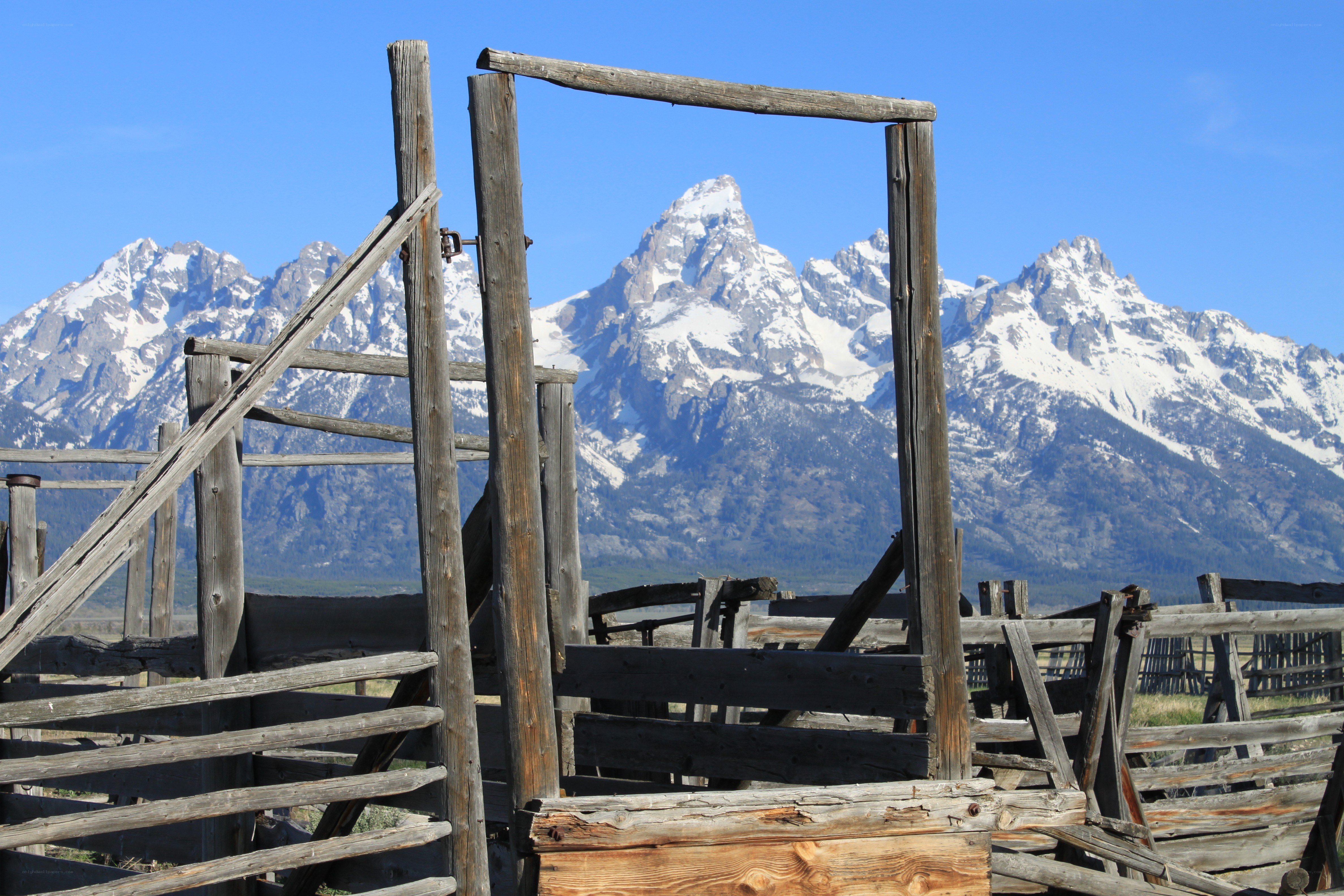 Old fence with mountain view