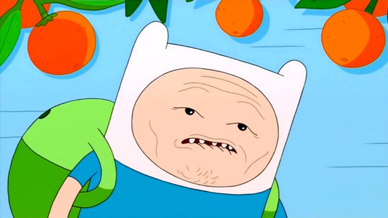 Old Finn in orange grove