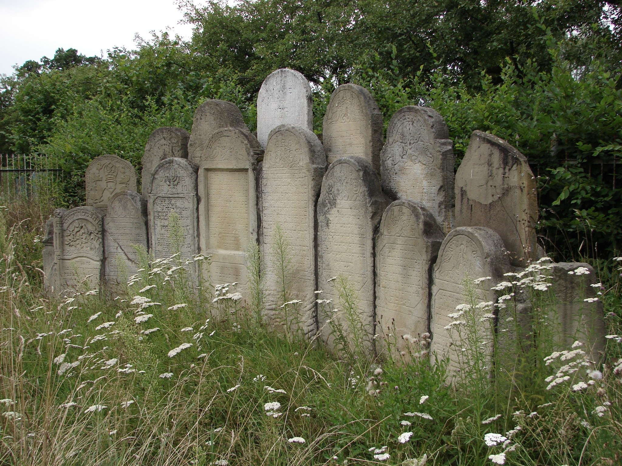 Old gravestones in a cemetery