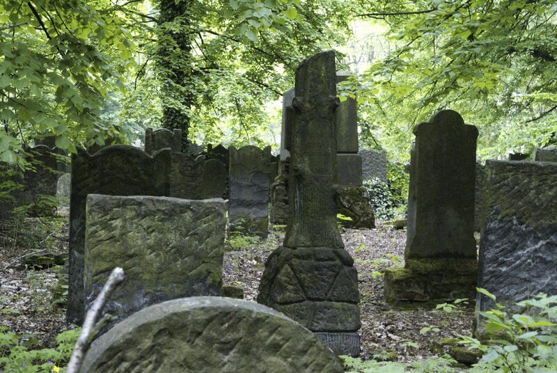 Old gravestones in a forest