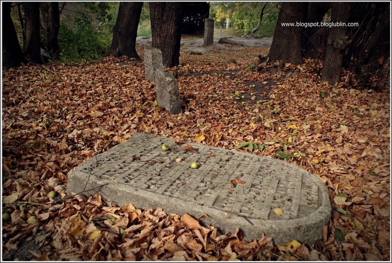 Old gravestones in autumn forest