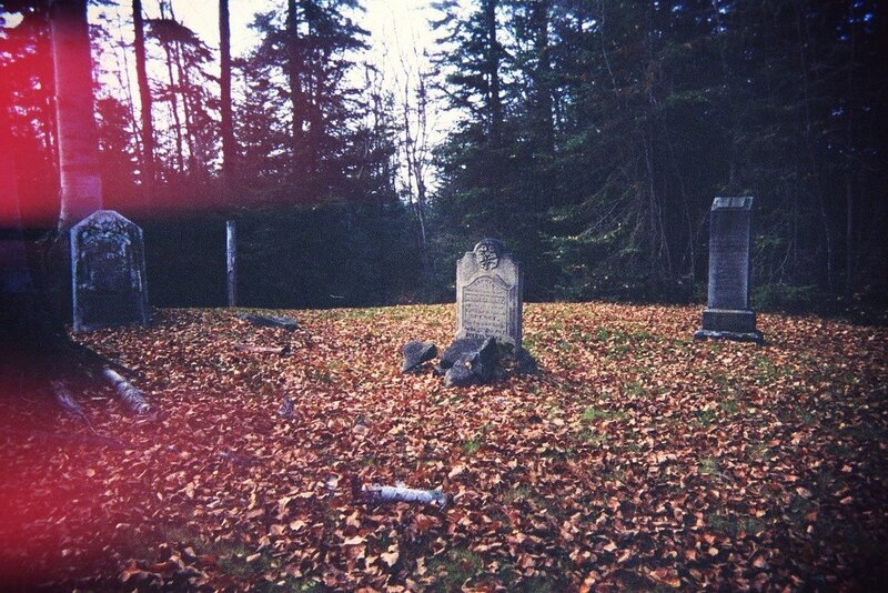Old Gravestones in Forest — Brown