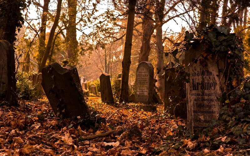 Old Gravestones in Forest