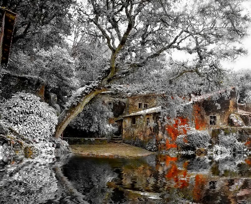 Old House by Pond