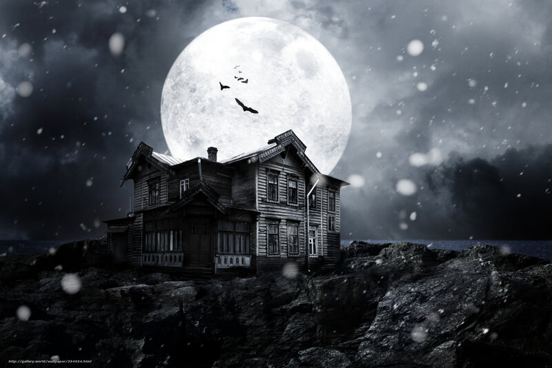 Old House on Rocky Shore — Black