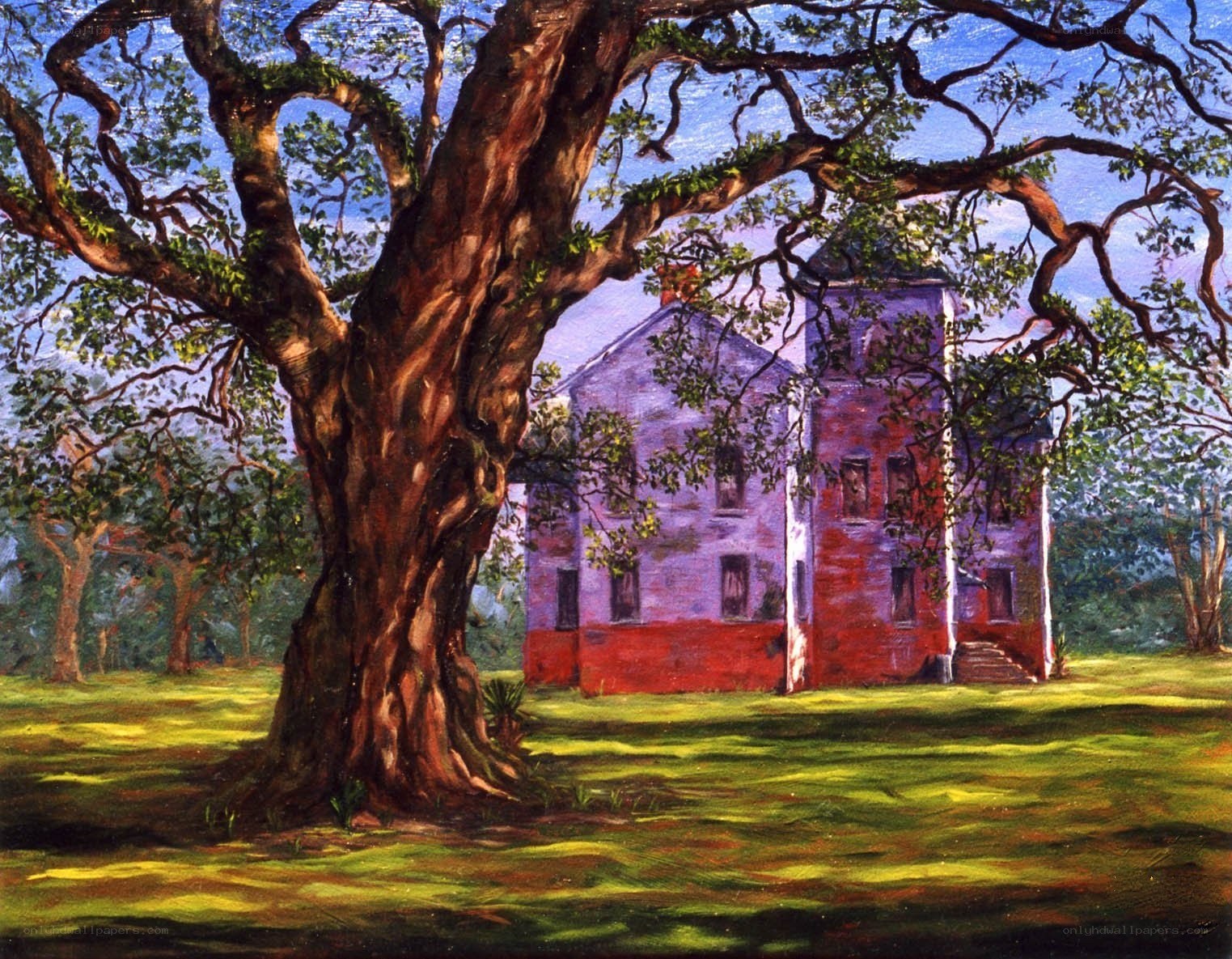 Old house under a large tree