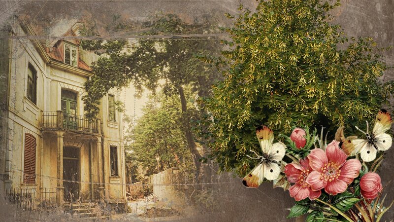 Old House with Flowers