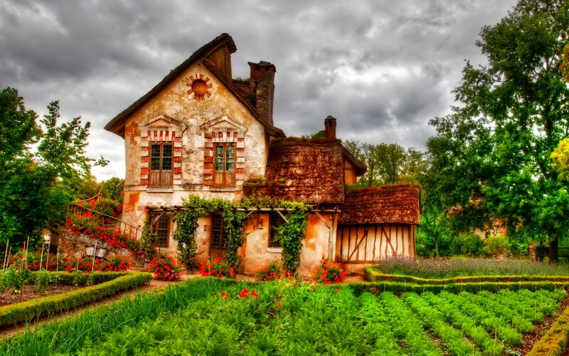 Old House with Garden — Green, Dramatic, Afternoon, Photograph