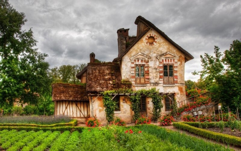 Old House with Garden — Green, Dramatic, Afternoon, Photograph, Trees