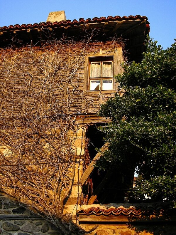 Old house with ivy-covered walls