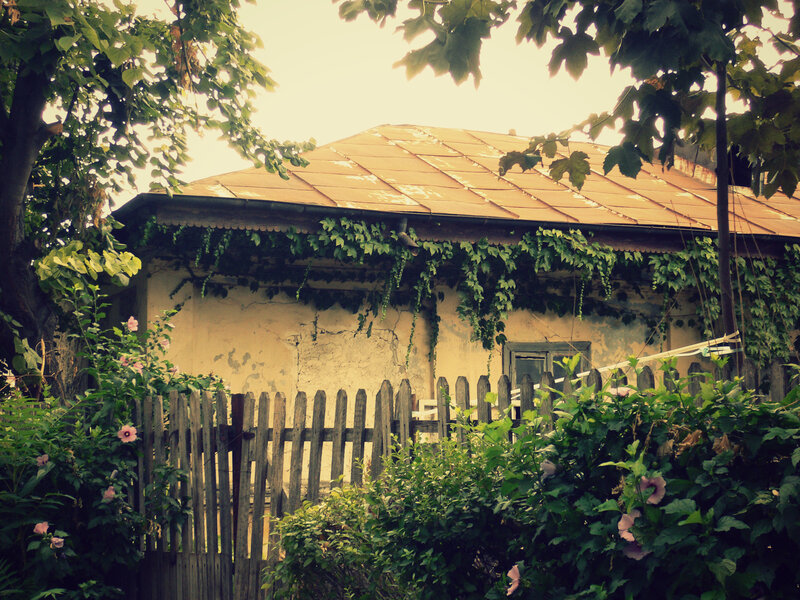 Old House with Ivy