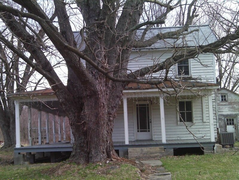 Old House with Large Tree