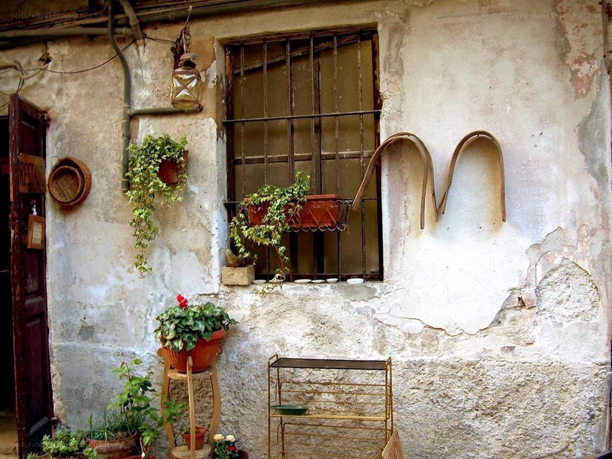 Old house with plants and window