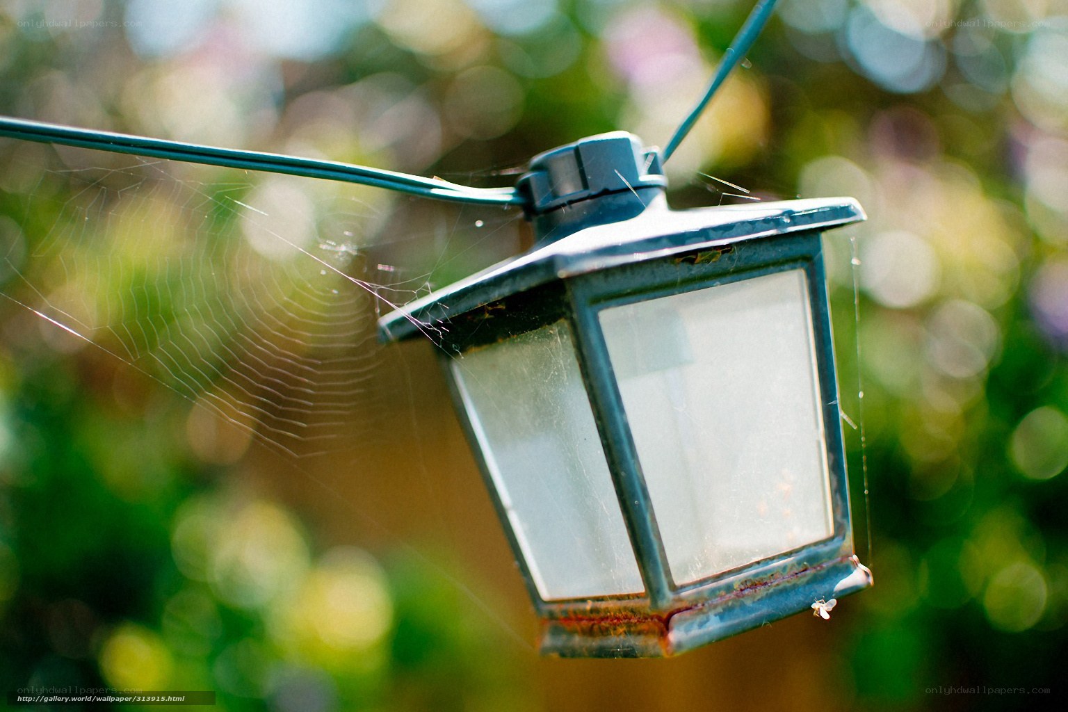 old lantern with spiderweb