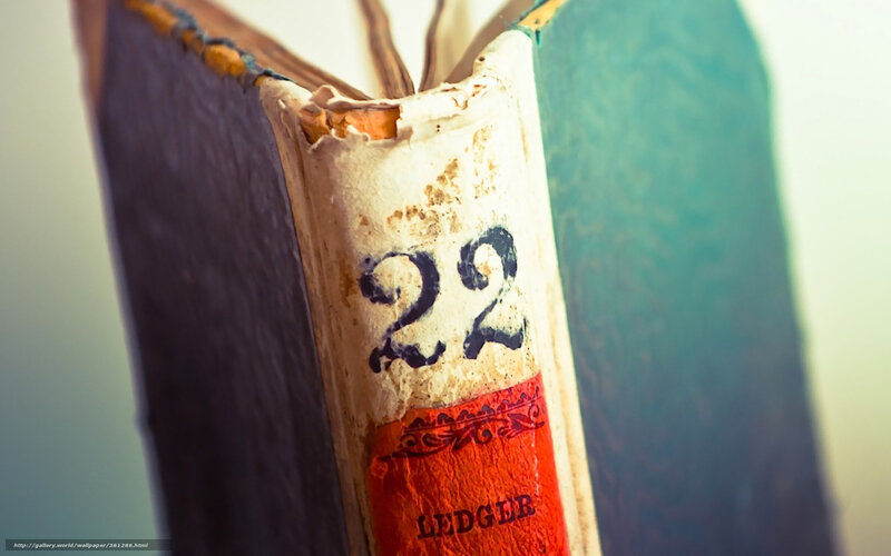 old ledger book spine