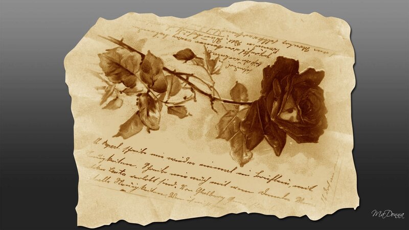 Old Letter with Rose