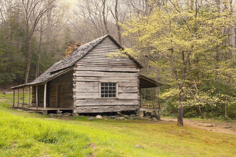 Old Log Cabin — Green, Serene, Spring, Photograph, Forest, Tree