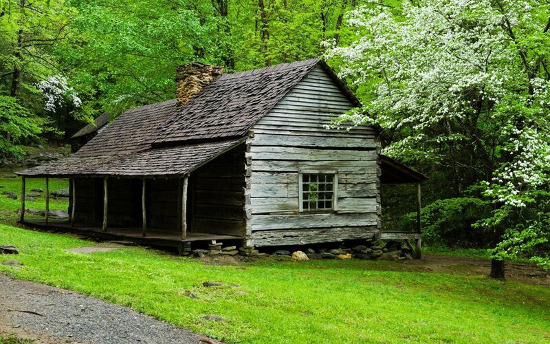 Old Log Cabin — Green, Serene, Spring, Photograph, Forest, Trees, Grass