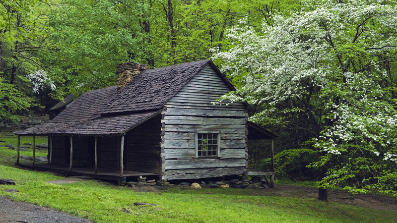 Old Log Cabin — Green, Serene