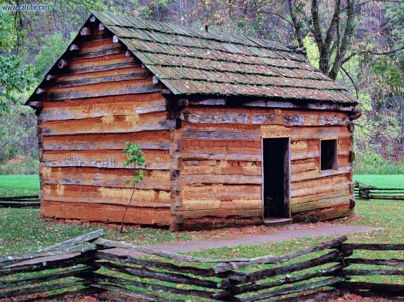 old log cabin in forest