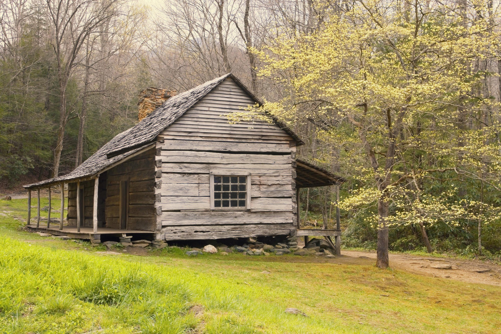 Old log cabin in forest