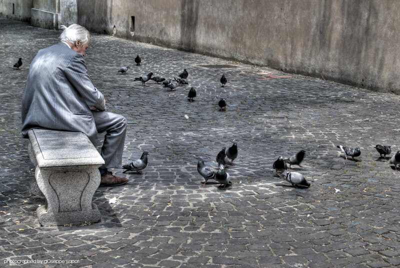 Old man feeding pigeons