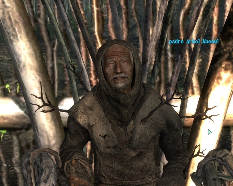 Old man in forest