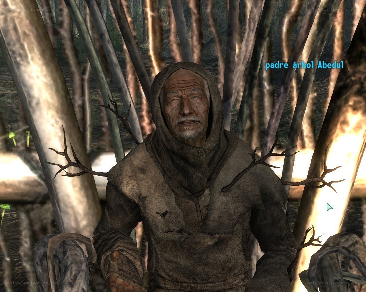 Old man in forest
