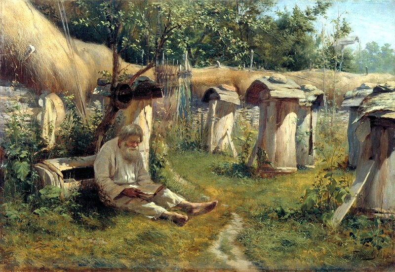 Old Man Reading Book