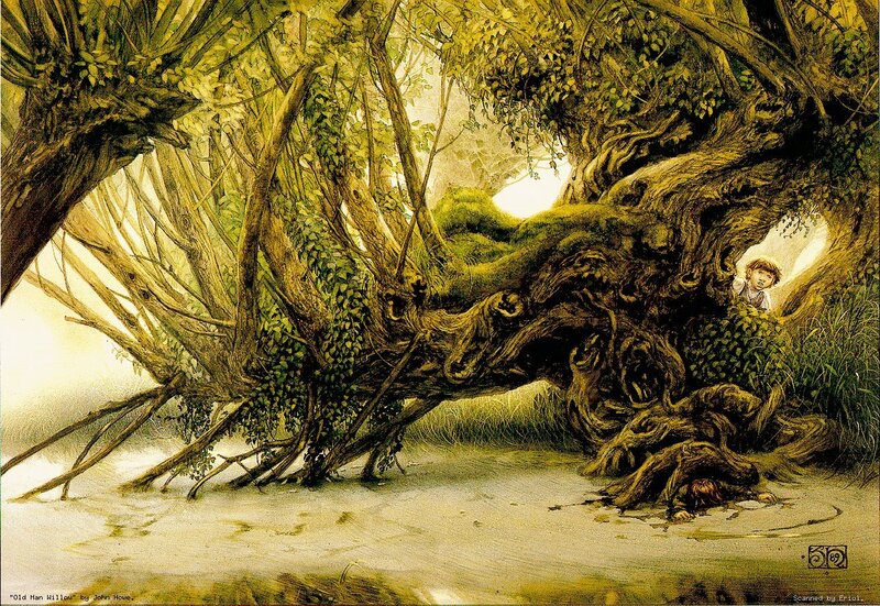 Old Man Willow illustration