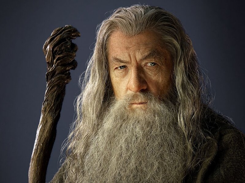 Old Man with Long Beard — Gray, Serious