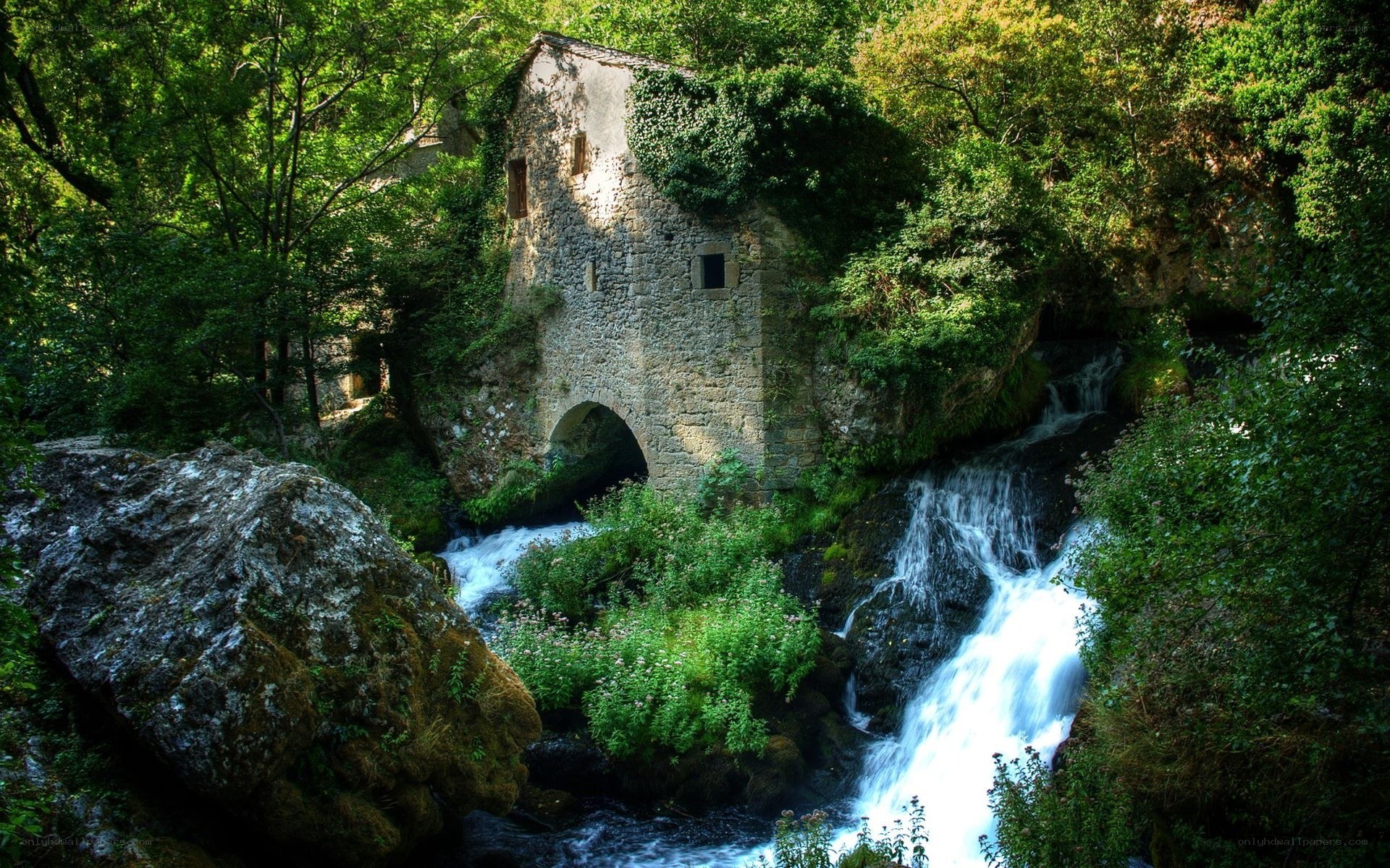 Old mill by a forest stream