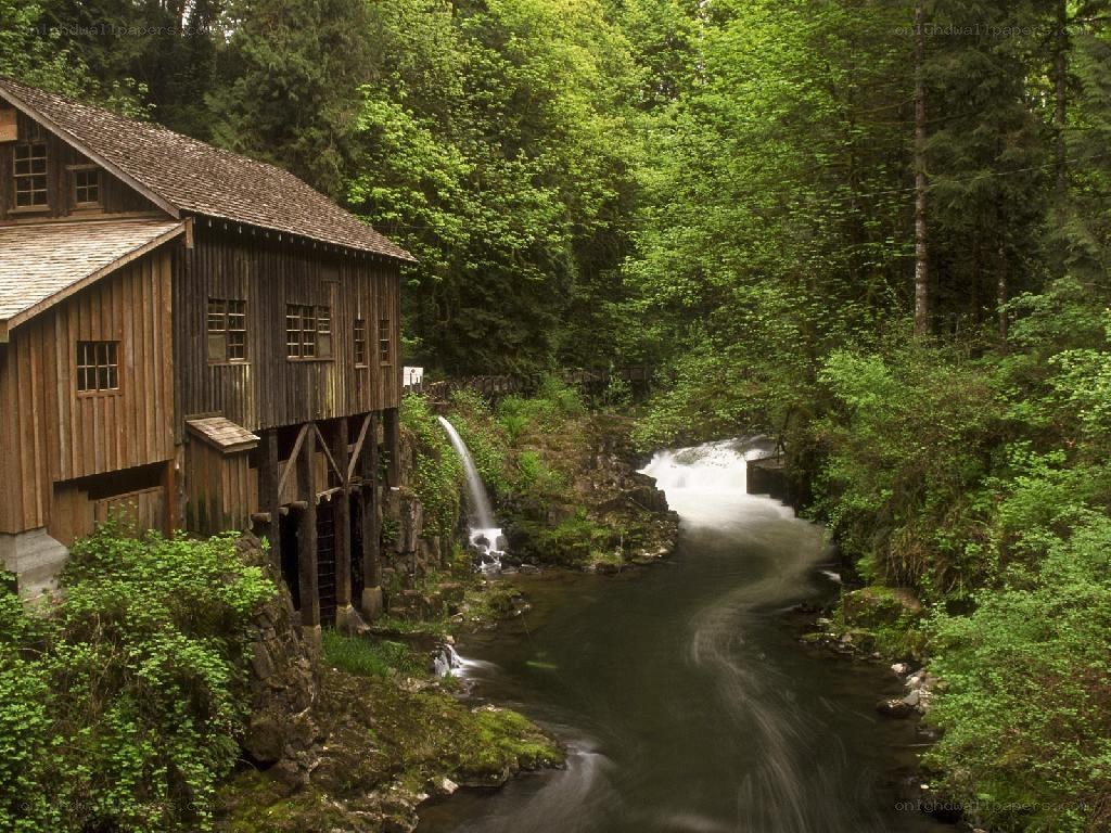 Old mill by a forest stream