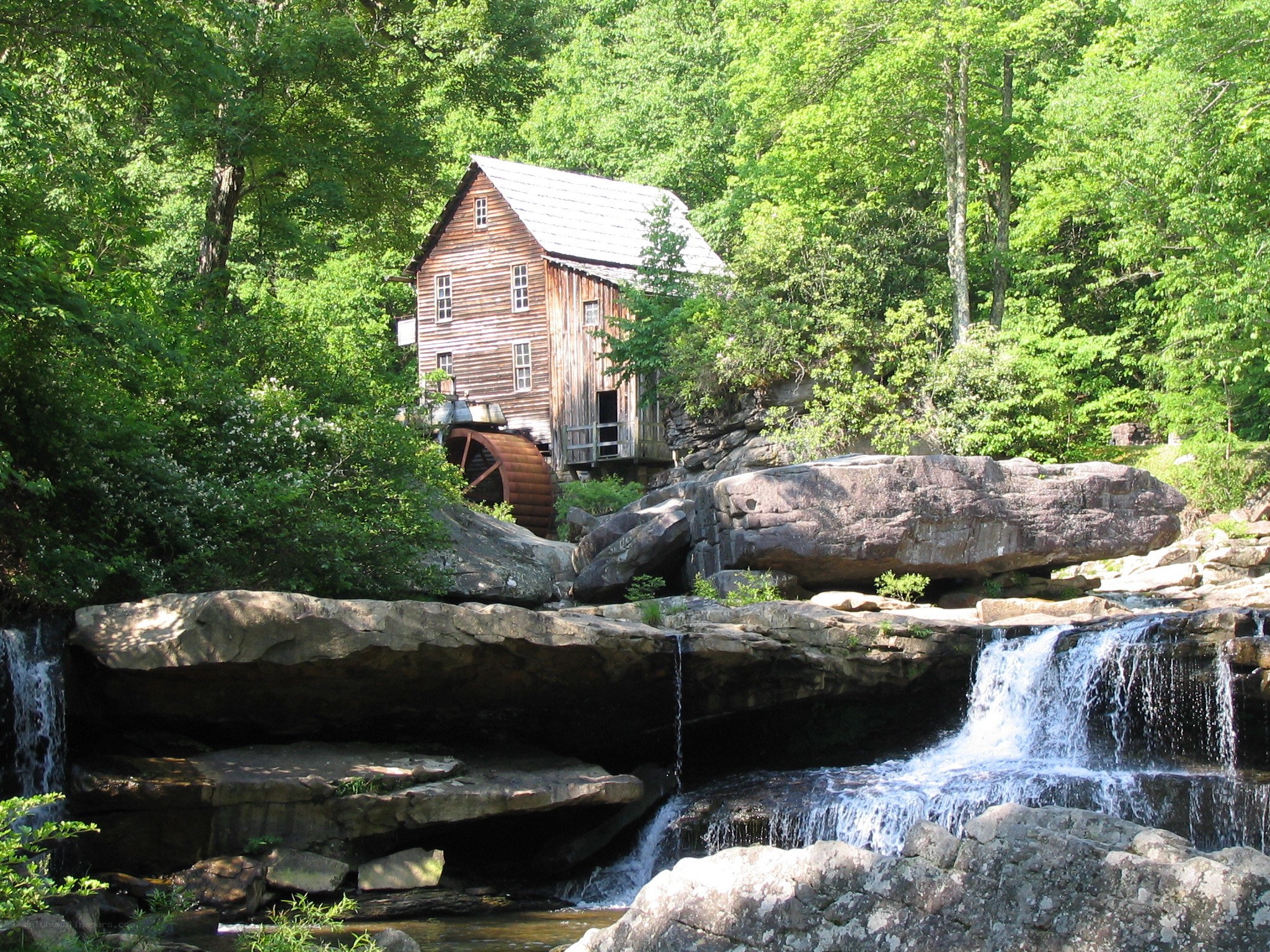 Old mill by a forest stream