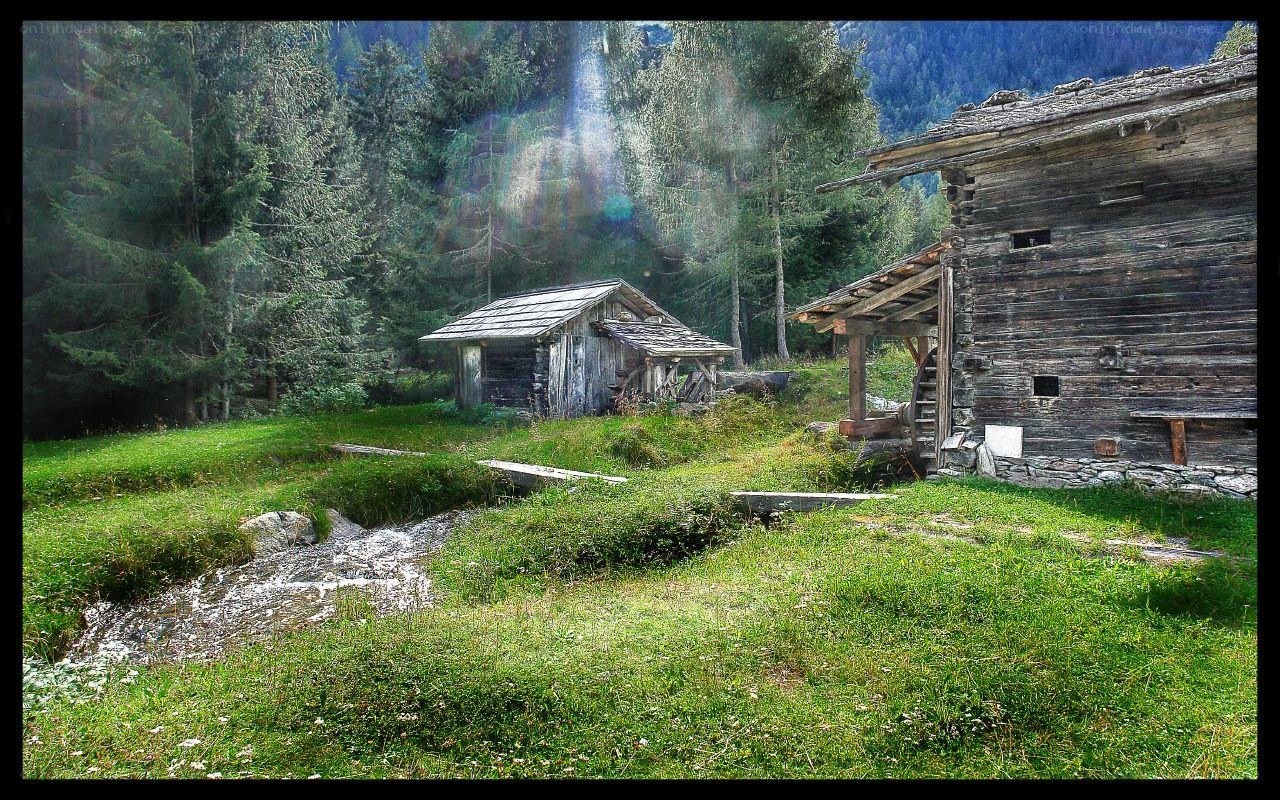 Old mill in a forest clearing