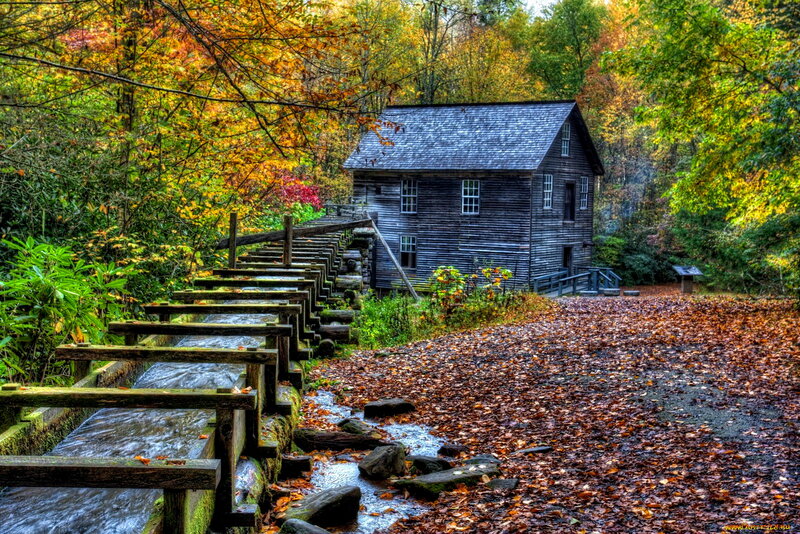Old Mill in Autumn — Brown