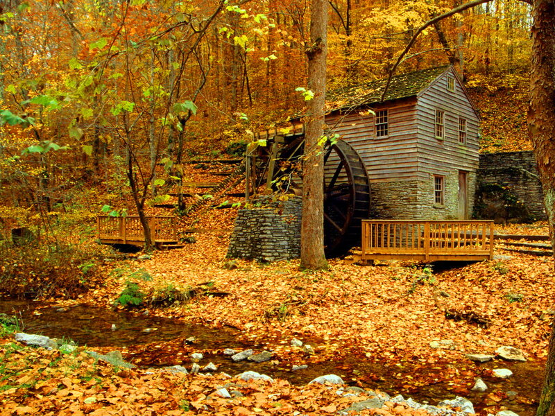 Old Mill in Autumn Forest — Orange