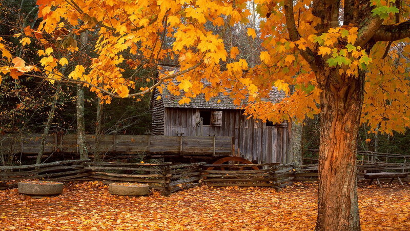 Old Mill in Autumn — Orange