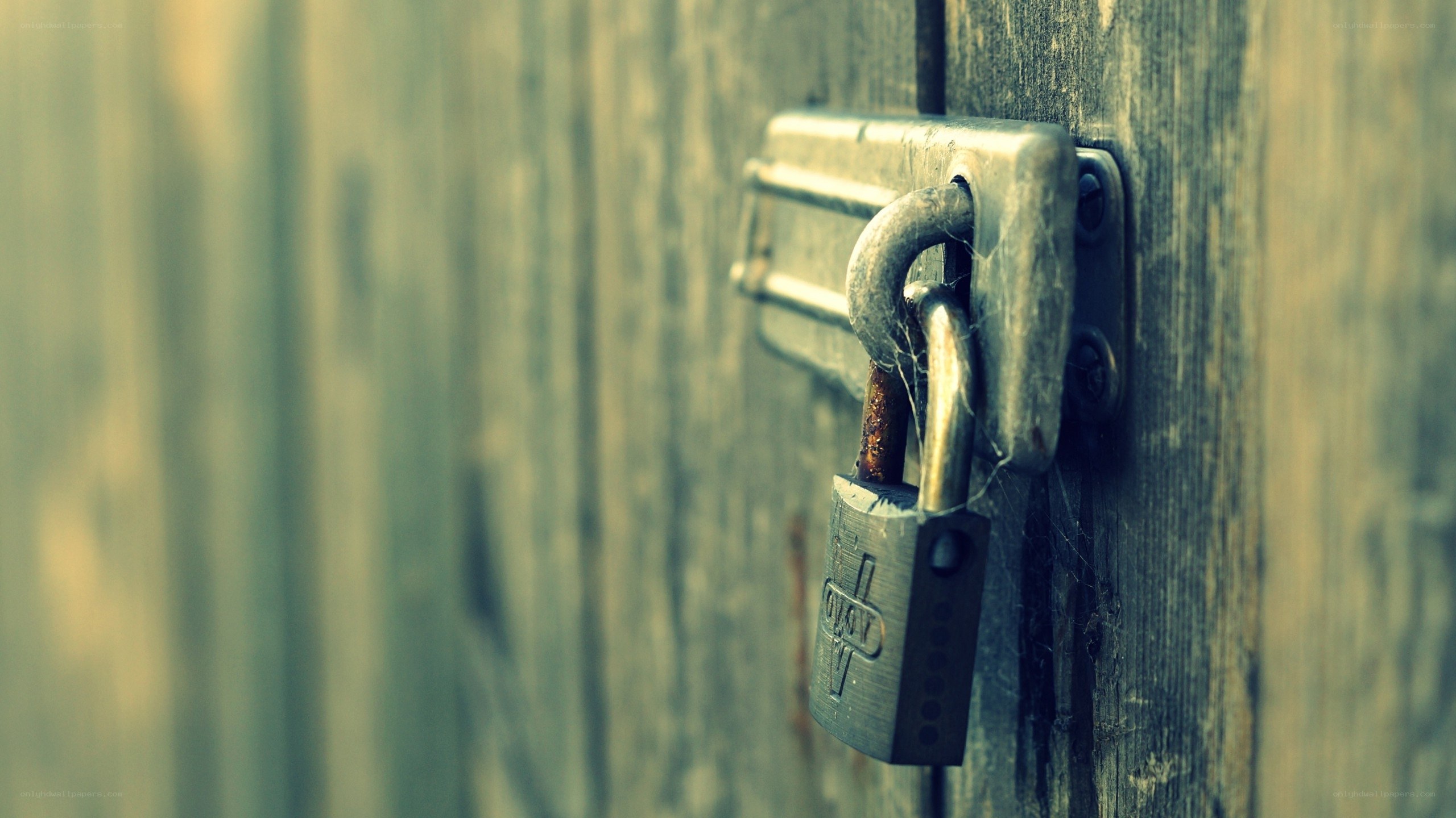 old padlock on wooden door