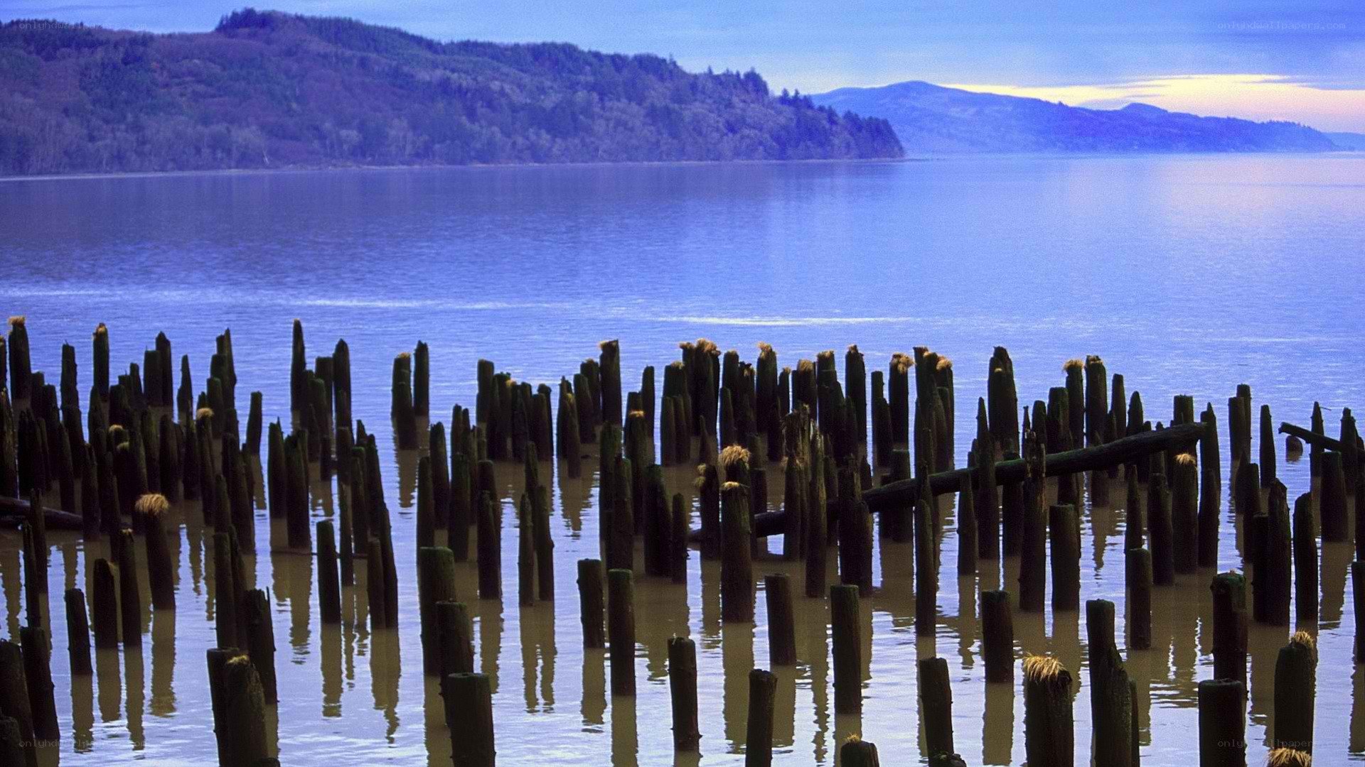 Old pilings in a calm bay