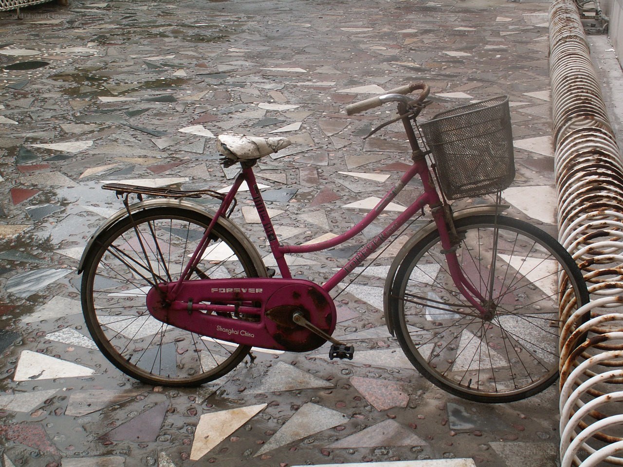 Old pink bicycle on mosaic pavement