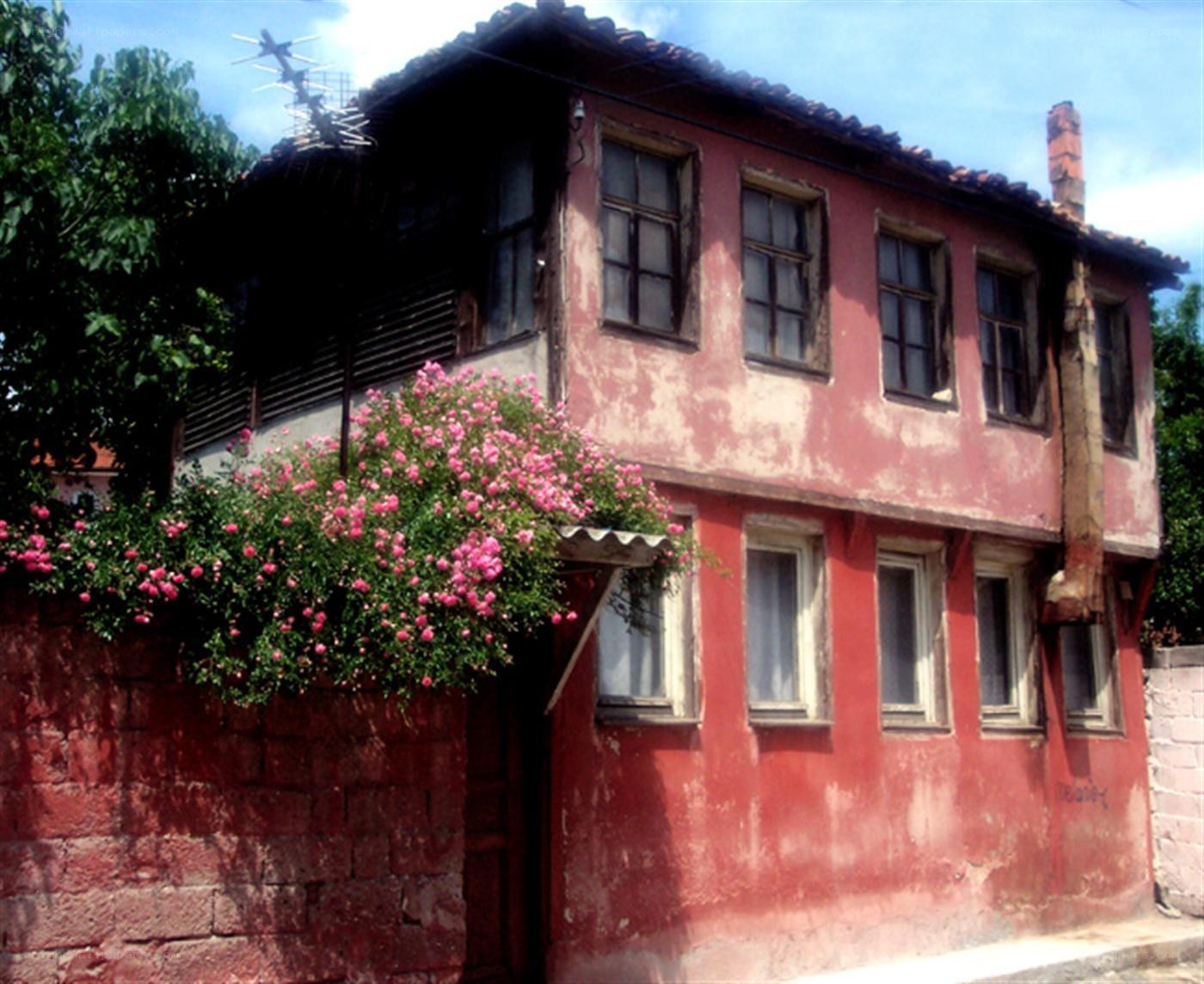 Old red house with pink flowers