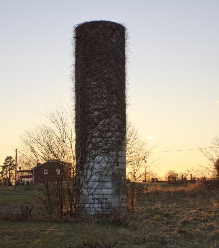 Old silo covered in ivy