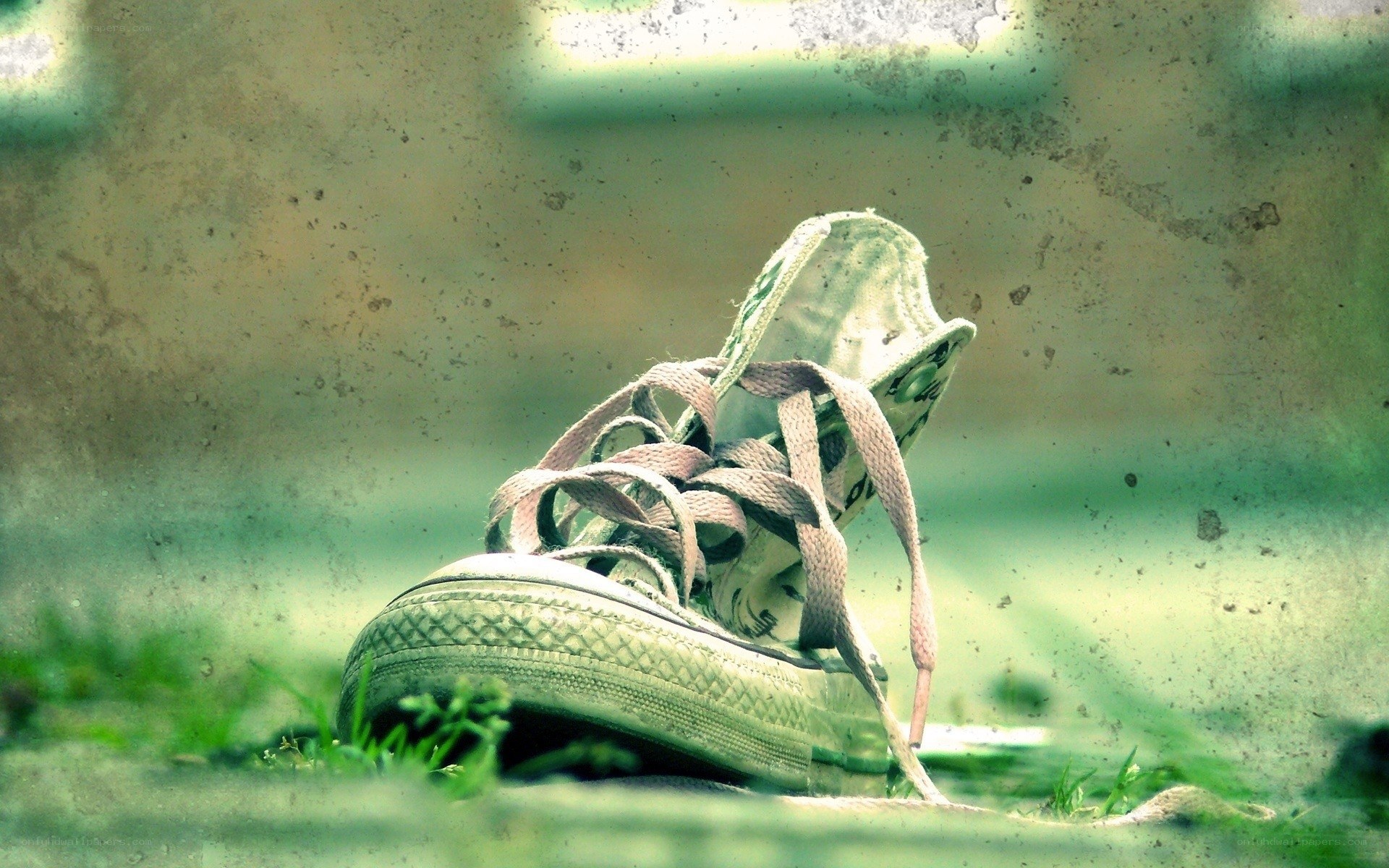 old sneaker on grass