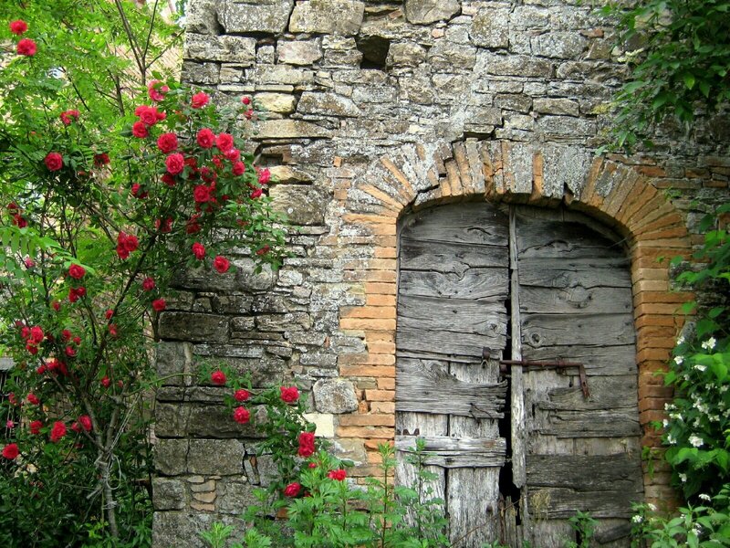 Old stone door with roses