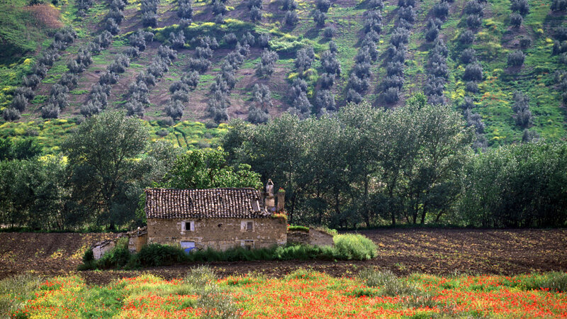 Old Stone House in Field