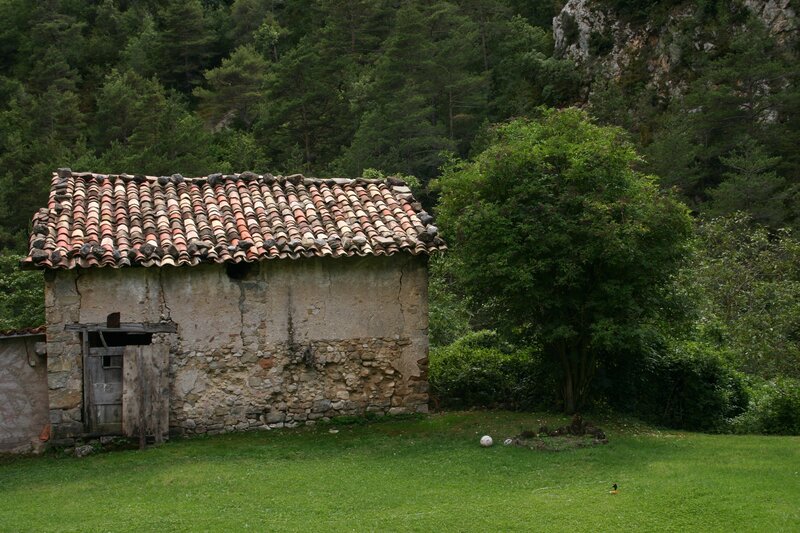 Old Stone Hut in Forest