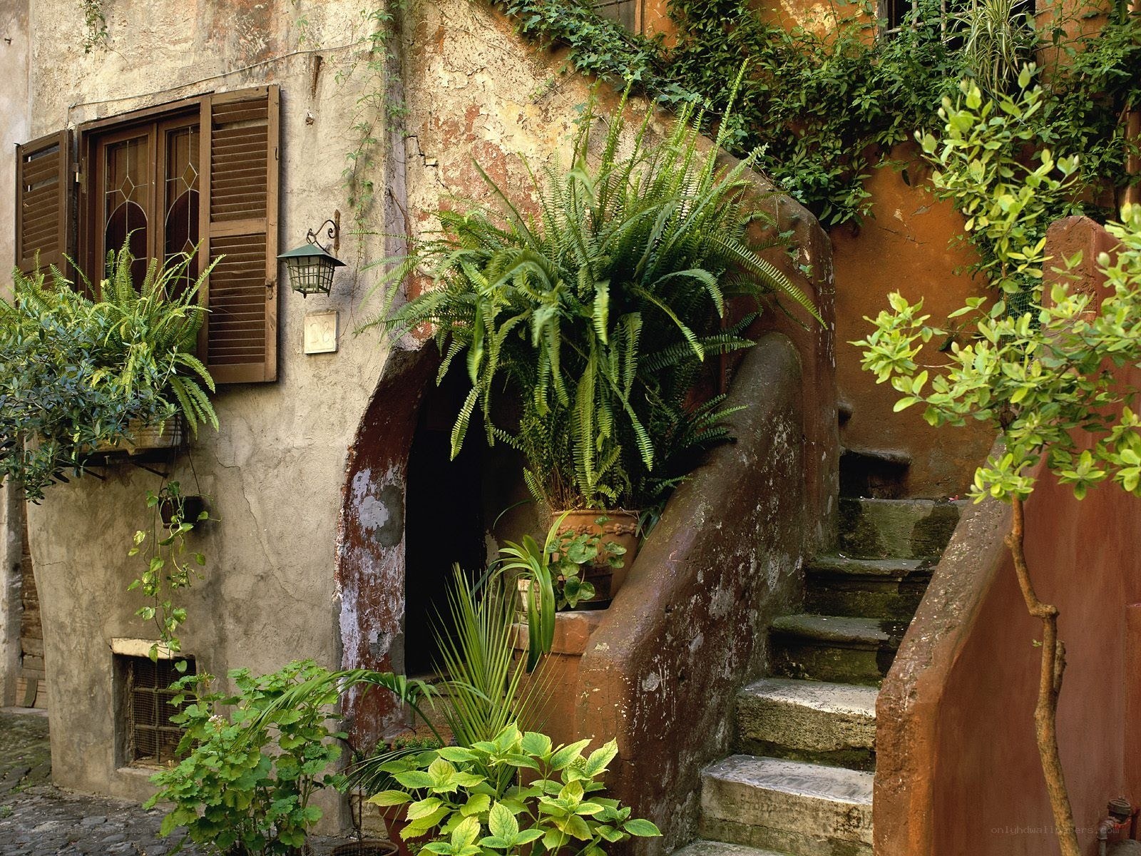 Old stone staircase with plants